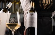 Wine tasting in San Gimignano