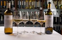 Wine tasting in San Gimignano
