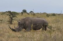 Nairobi national park and Giraffe center