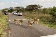 Nairobi national park and Giraffe center