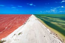 Full-Day Rio Lagartos and Las Coloradas Tour with Lunch