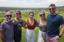 Hunter Valley Small Group Wine, Gin and Cheese Tour from Sydney