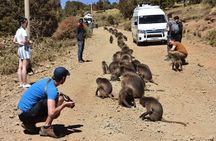 Explore Northern Ethiopia in 6 days 5 nights by flight 