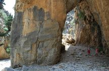 Hike Imbros gorge & explore Sfakia with lunch