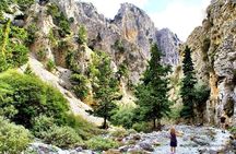Hike Imbros gorge & explore Sfakia with lunch