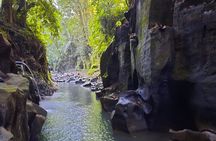 Trekking and Tegallalang Rice Terace Field Including Cascade Waterfall Tour
