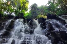 Trekking and Tegallalang Rice Terace Field Including Cascade Waterfall Tour