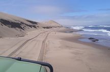 Scenic Sandwich Harbour Tour
