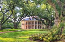 Half-Day Oak Alley Plantation Tour in Vacherie