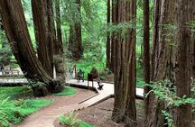 Muir Woods, Sausalito and Golden Gate Bridge
