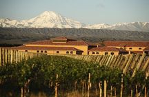 Mendoza Malbec Experience