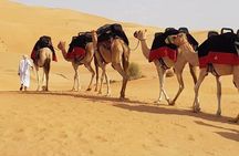 Dubai Desert Safari With Dune Bashing, Camel Ride & BBQ Dinner