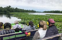 Airboat Adventure in Saint Augustine with a Guide