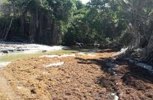 Extreme Outback Tour in St Lucia