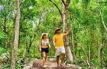 Ultimate Chichen-Itza Cenote Swim & Valladolid from Cancun