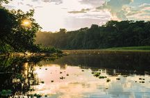 Adventure in the Amazon Jungle 5D/4N at Amazon Mamori lodge 