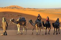 Evening Desert Safari Dubai with BBQ Dinner