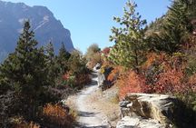 8 Days Short Trek and Tour in Nepal