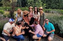 Willamette Valley Pinot Noir & Wood Fired Pizza Pairing Tour