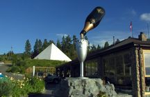 Kelowna South Slopes Wine Tour - 5 wineries on the tour