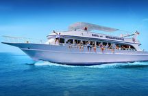 Safe Try dive-Personal instructor, 1:1 experience, Top boat