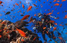 Safe Try dive-Personal instructor, 1:1 experience, Top boat