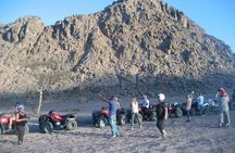 Adventure Quad Biking Tour in Dahab