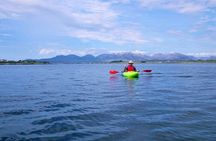 2.5 Hour Guided Sea Kayaking in Roundstone Bay