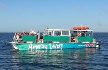 Learn to Scuba Dive with a Professional Instructor in Key Largo