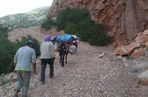Toubkal Ascent Private 3-Days Tour