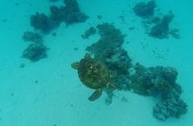 Moorea Solo or Twin Island Tour Jet Ski 4 hours