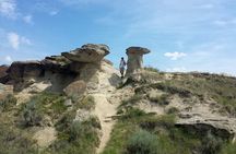 Drumheller Dinosaur Valley & Horseshoe Canyon Adventure Day Tour