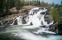 Waterton Lakes National Park Scenic Day Tour from Calgary