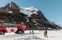 Columbia Icefield Glacier Adventure Day Tour from Calgary/ Banff