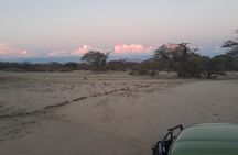 Spitzkoppe Day Tour from Swakopmund