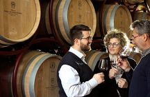 Bolgheri: Premium Wine Tasting with Winery Tour