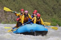 Reykjavik Whales & White Water Rafting Adventure