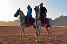 Horse Riding in Dahab