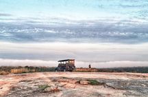 Kruger National Park Sunrise Half-Day Safari Tour