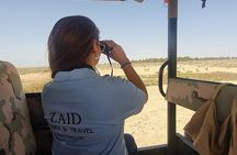 Private Tour of Desert Castles Eastern Jordan with optional Azraq Wetland Visit