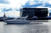1 Hour Puffins and Reykjavík Bay Sailing