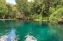 Snorkel The Amazing Rainbow River Florida