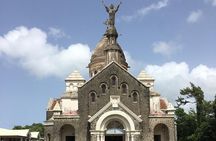 Half-Day Nature and Panorama Tour in Martinique