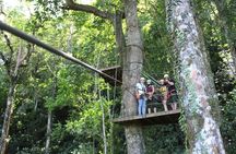 Canopy Tour with Superman and Tarzan Swing in La Fortuna