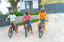 Half-Day Small-Group E-Bike Guided Tour in Antigua