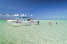 Saona Island Summer