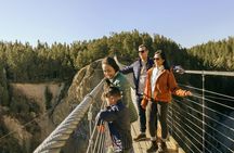 Admission Ticket to Golden Skybridge