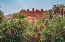 Tardoudant Tiout Oases Explore