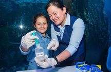 Kidzania- Dubai Mall - Admission ticket 