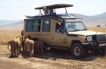 4 Days Tanzania Camping Safari